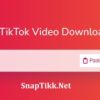 The Rise of TikTok Downloaders: Navigating the Controversy