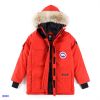 秋冬大人気なウィンダム カナダグース 偽物 通販 多色選択 ファーフードが付き CANADA GOOSE 