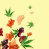 The Basic Elements of CBD Gummies