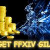 Highly Informative Details Regarding Buy FFxiv Gil